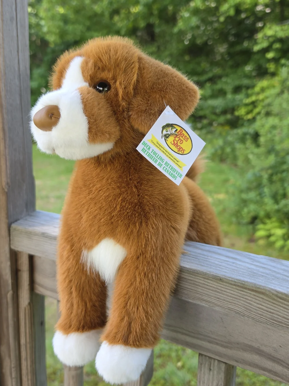 Bass Pro Shops Duck Tolling Retriever Stuffed Dog By Douglas